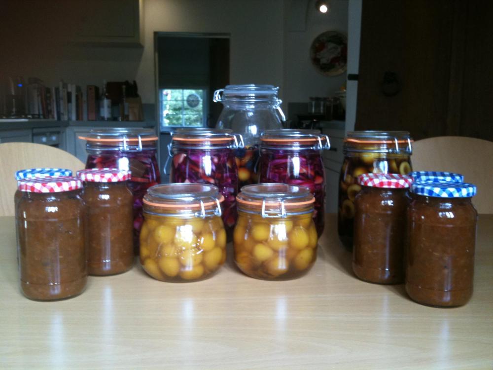 271222_2262555245899_966143_o