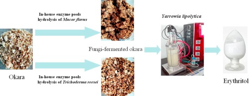 1-s2.0-S0960852417313196-fx1